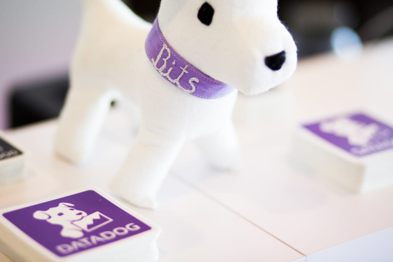 Datadog’s stock slides after earnings. This is what’s nagging at investors.