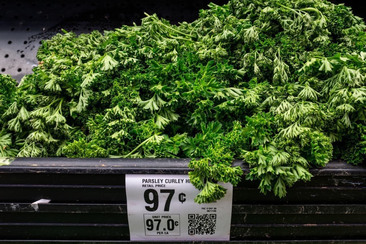 The cyclospora outbreak is the biggest ever. Why the ‘unusual’ outbreak is so hard to manage.