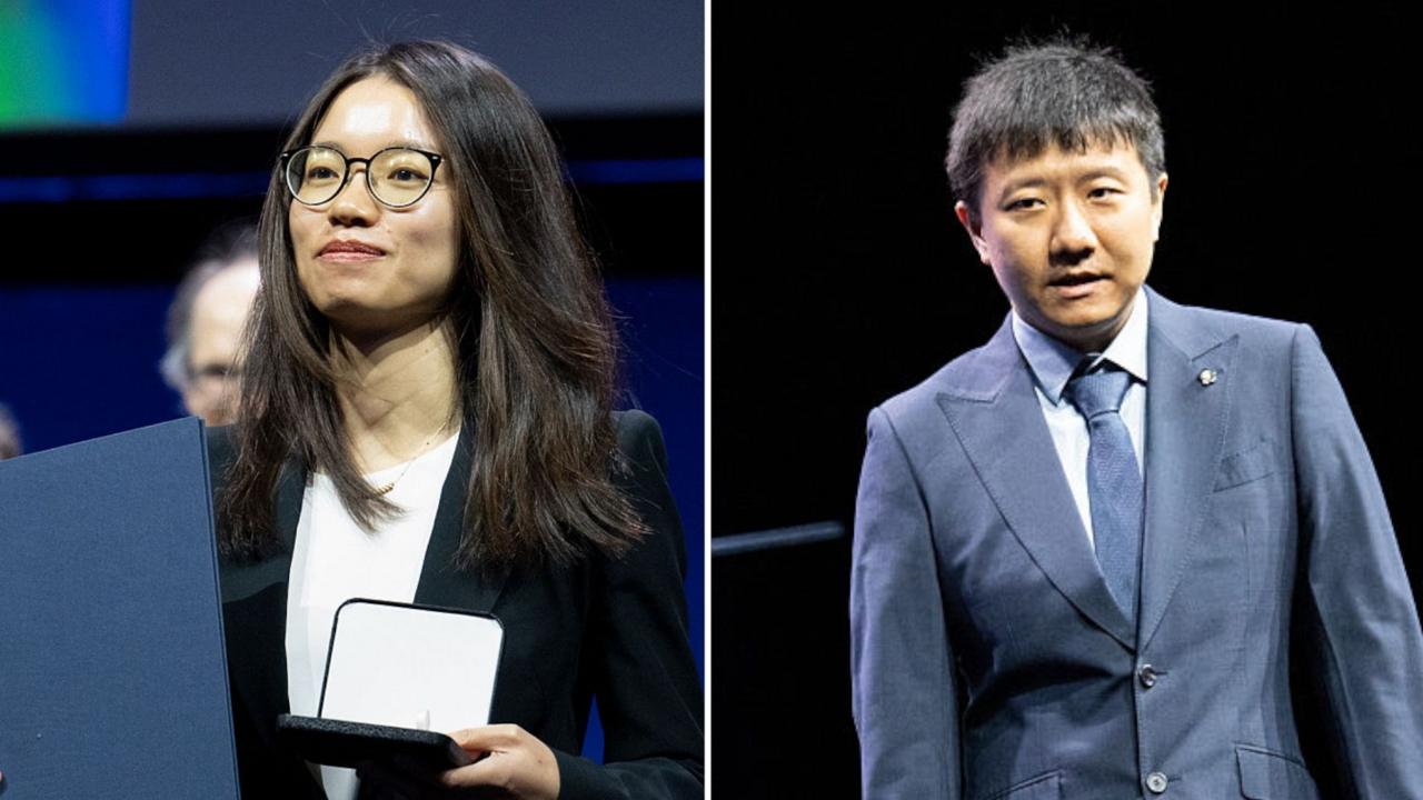 Mathematicians win top prize after solving century's-old problems