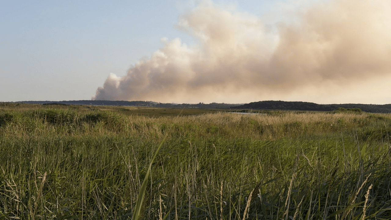 Major incident declared over coastal heath fire in Suffolk