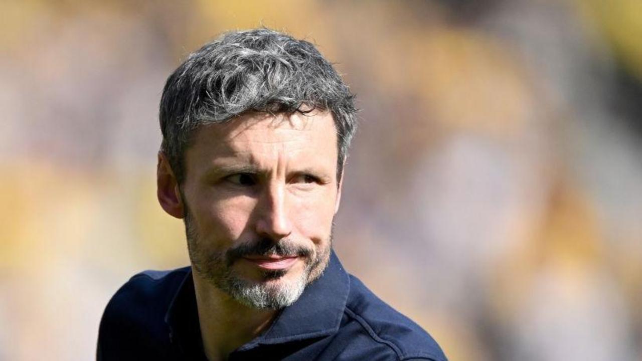 Van Bommel appointed Belgium head coach