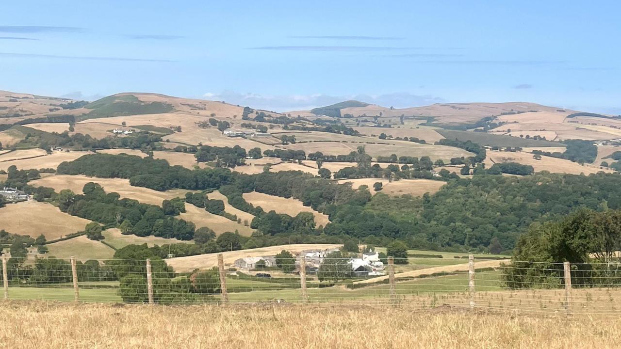 Wildfires and record dry conditions trigger drought in parts of Wales