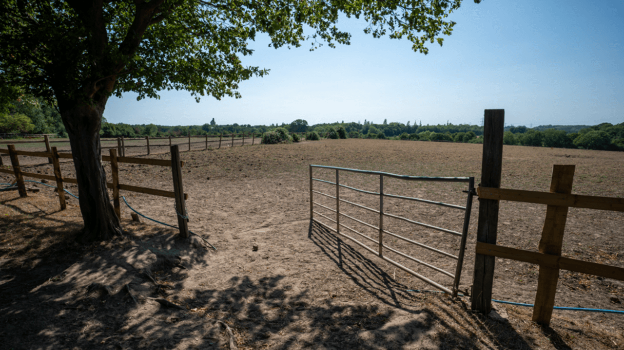Drought conditions may worsen before improving as little rain in sight