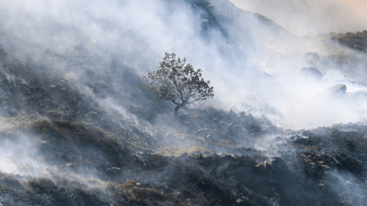 Wildfire burning one month on is 'the size of a small town'