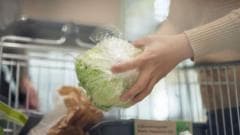 Cyclospora outbreak expands to nine US states, health officials say